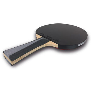 ping pong paddle